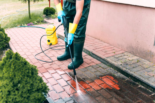 Best Animal Enclosure Cleaning  in Jackson, KY