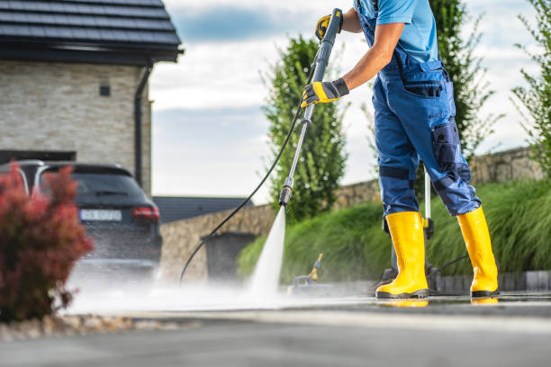 Best Gutter Cleaning  in Jackson, KY